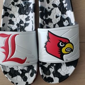 Louisville cardinals slides